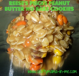 Reese's Pieces Peanut Butter No Bake Cookies