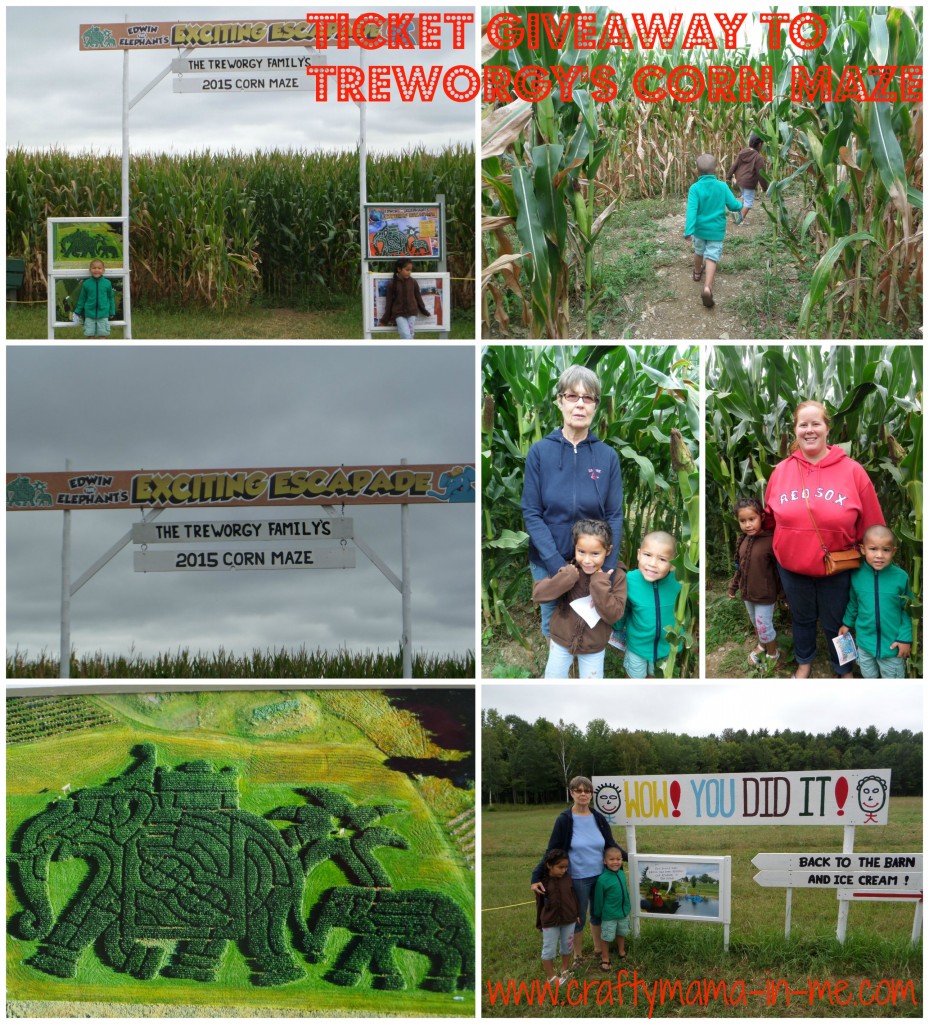 Ticket Giveaway to the Treworgy's Corn Maze