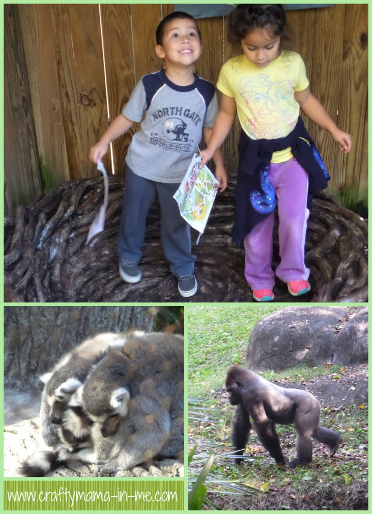Our Zoo Atlanta Visit and Review