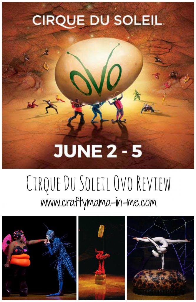 Cirque Du Soleil OVO Review