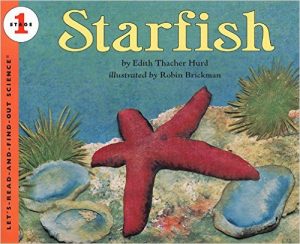 10 Awesome Children's Books about Ocean Animals